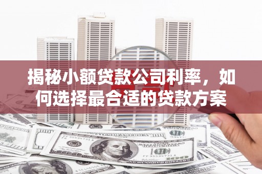 黄梅揭秘小额贷款公司利率，如何选择最合适的贷款方案