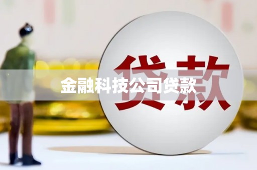 陆丰金融科技公司贷款