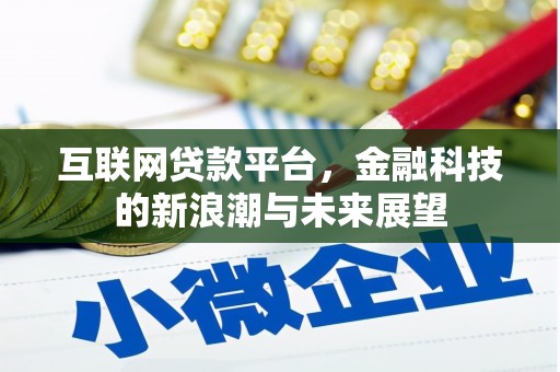 大园互联网贷款平台，金融科技的新浪潮与未来展望