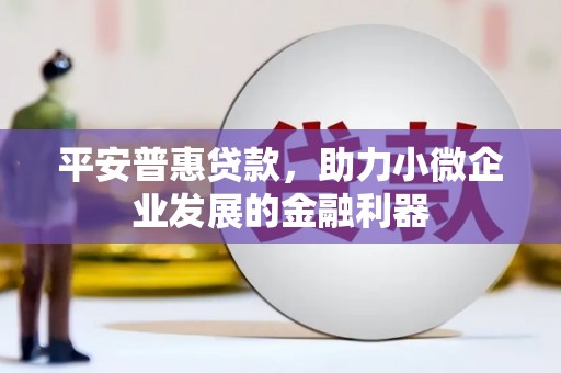 纳雍平安普惠贷款，助力小微企业发展的金融利器