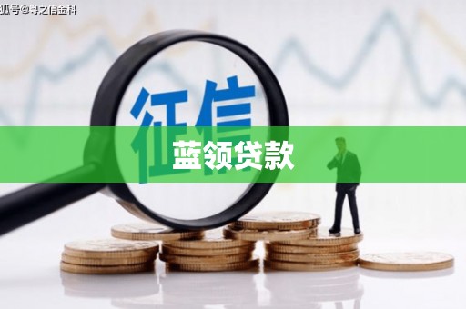 谢家集蓝领贷款