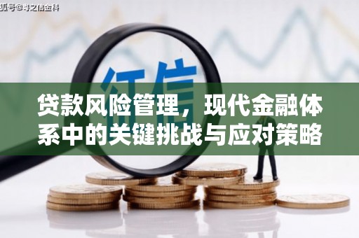 大内贷款风险管理，现代金融体系中的关键挑战与应对策略