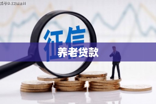湖州养老贷款