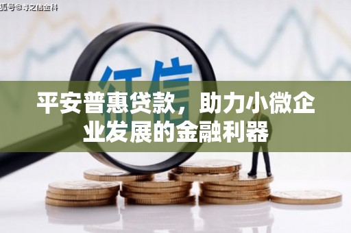 木垒平安普惠贷款，助力小微企业发展的金融利器