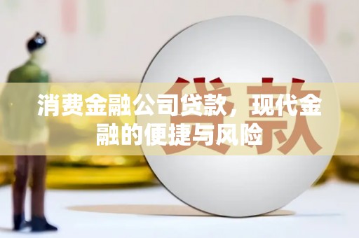 安龙消费金融公司贷款，现代金融的便捷与风险
