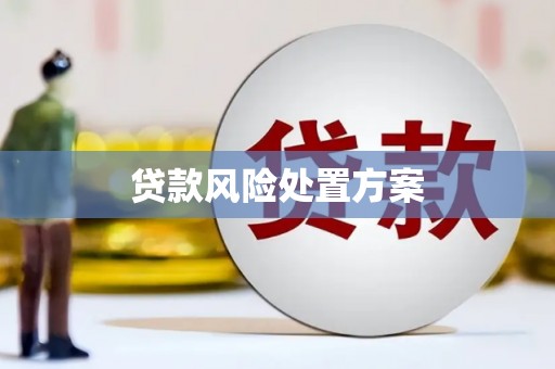 北投贷款风险处置方案