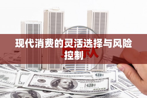 龙山现代消费的灵活选择与风险控制