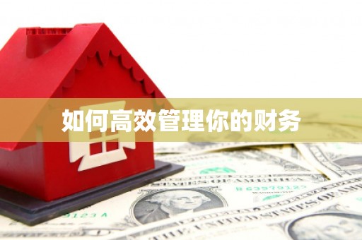 富平如何高效管理你的财务