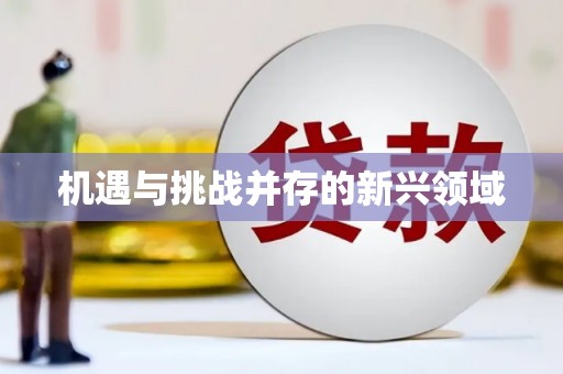 荷塘机遇与挑战并存的新兴领域