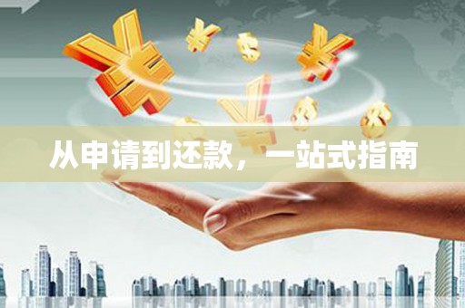 岳塘从申请到还款，一站式指南