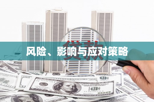 芒市风险、影响与应对策略