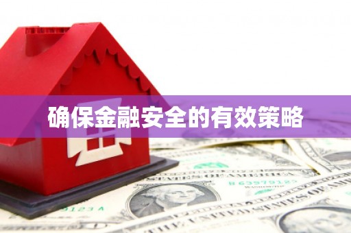 巴楚确保金融安全的有效策略