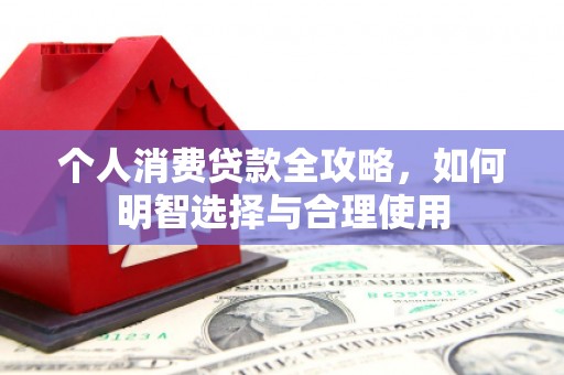 新兴个人消费贷款全攻略，如何明智选择与合理使用