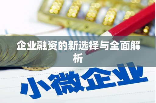 广水企业融资的新选择与全面解析