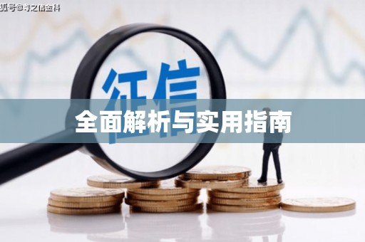 金乡全面解析与实用指南