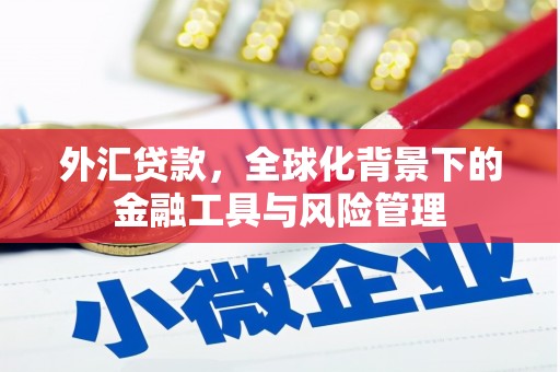 迎泽外汇贷款，全球化背景下的金融工具与风险管理