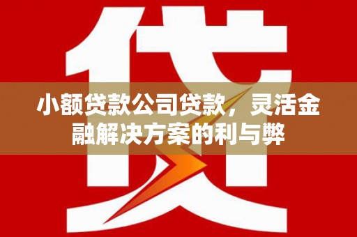 北市小额贷款公司贷款，灵活金融解决方案的利与弊